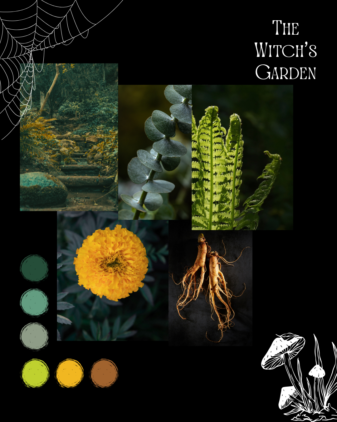 THE WITCH’S GARDEN MINI SET 260G - MERINO SMOOTH SOCK