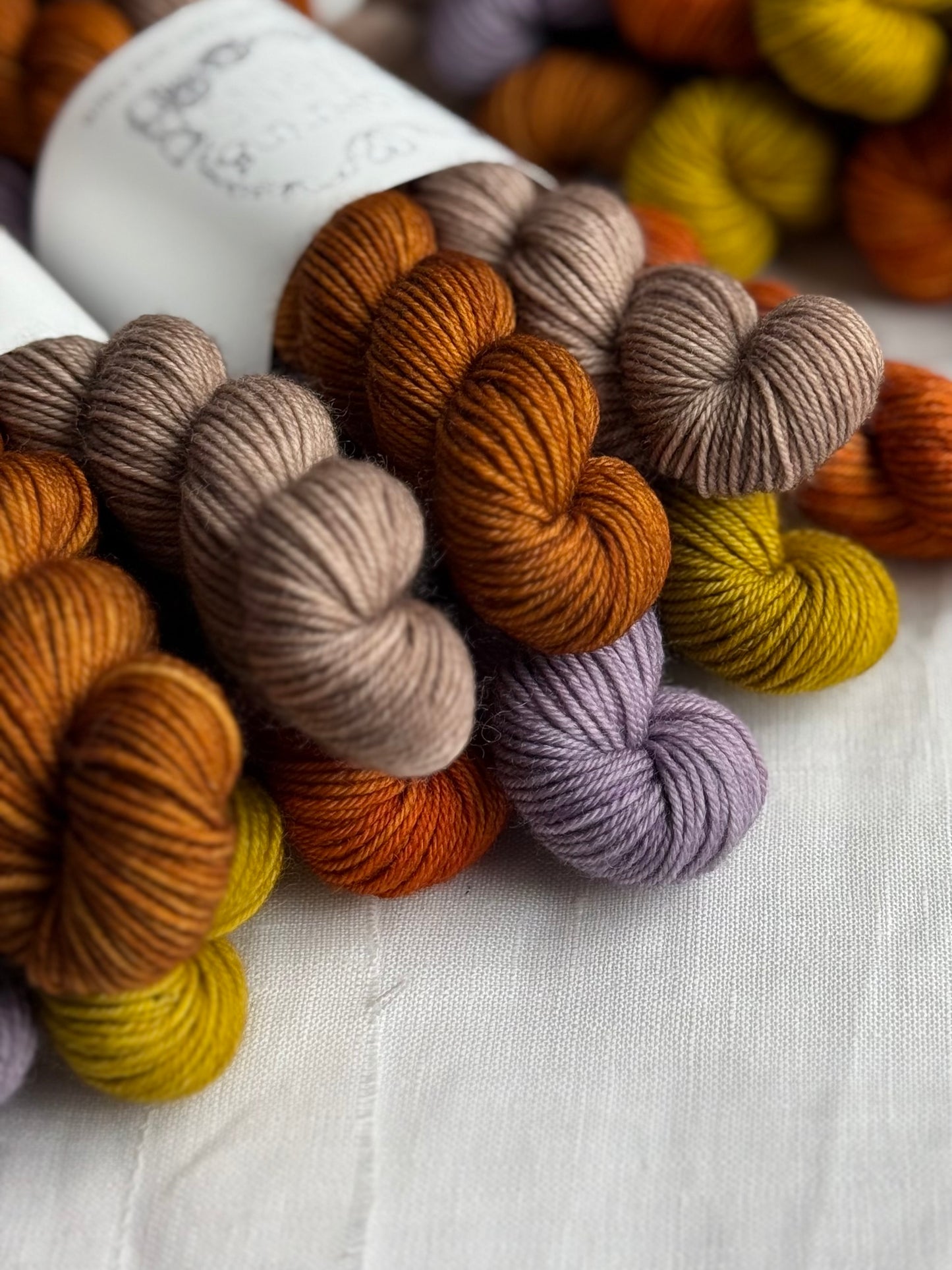GATHERING STITCHES - MERINO SMOOTH SOCK MINI SET