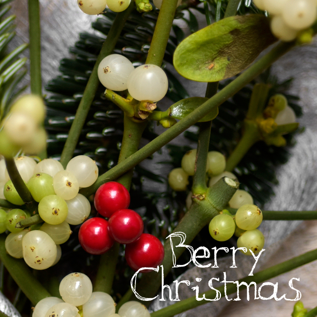 Stock photo of some holly and mistletoe berries with the words Berry Christmas in white text.