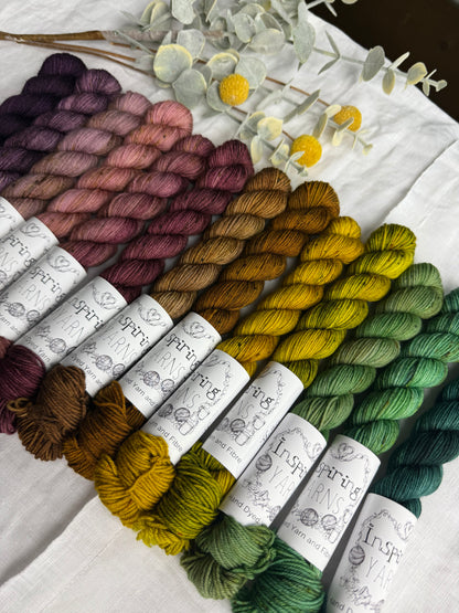 THE WITCH’S GARDEN MINI SET 260G - MERINO SMOOTH SOCK