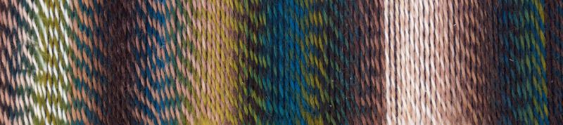 Image shows colour palette for  Schoppel Zauberball Crazy 4ply/sock.  The colour is 2250 Jacket and Trousers/Jacke wie Hose with shades of fawn, mid green, brown and neutrals.