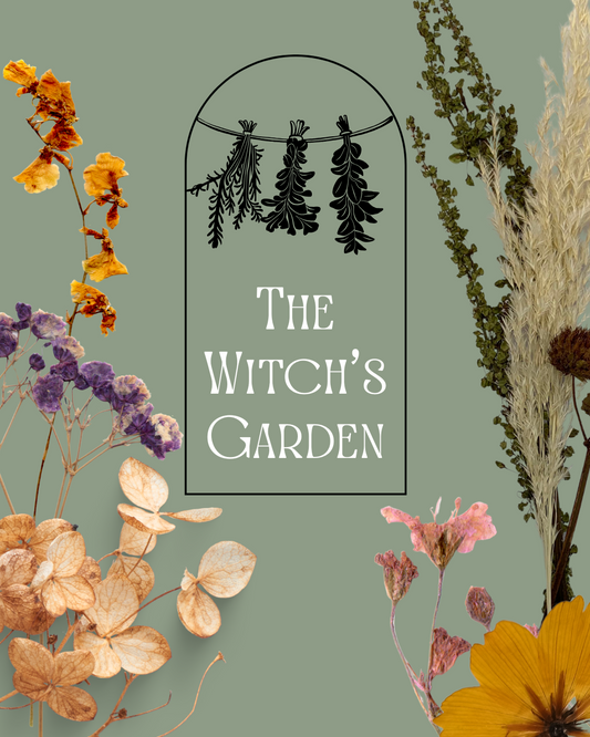 The Witch's Garden Halloween Craft Box