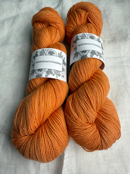 HERBARIUM DYEWORKS - MERINO TWIST 4PLY/FINGERING 100G