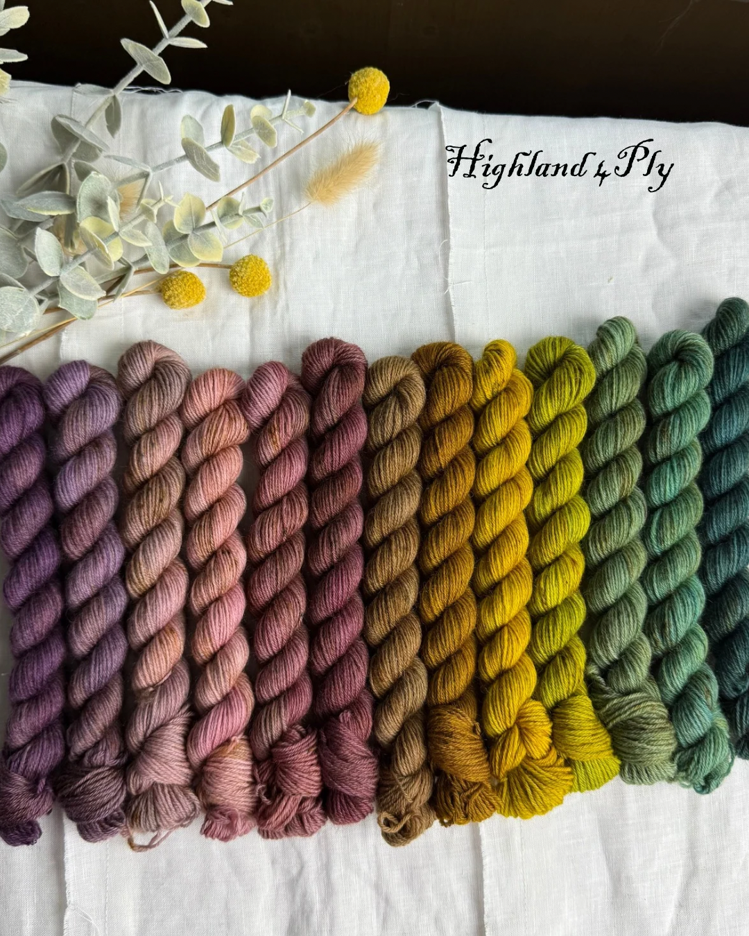 THE WITCH'S GARDEN MINI SET 260G - HIGHLAND 4PLY
