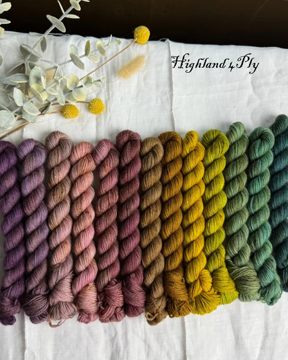 THE WITCH'S GARDEN MINI SET 260G - HIGHLAND 4PLY