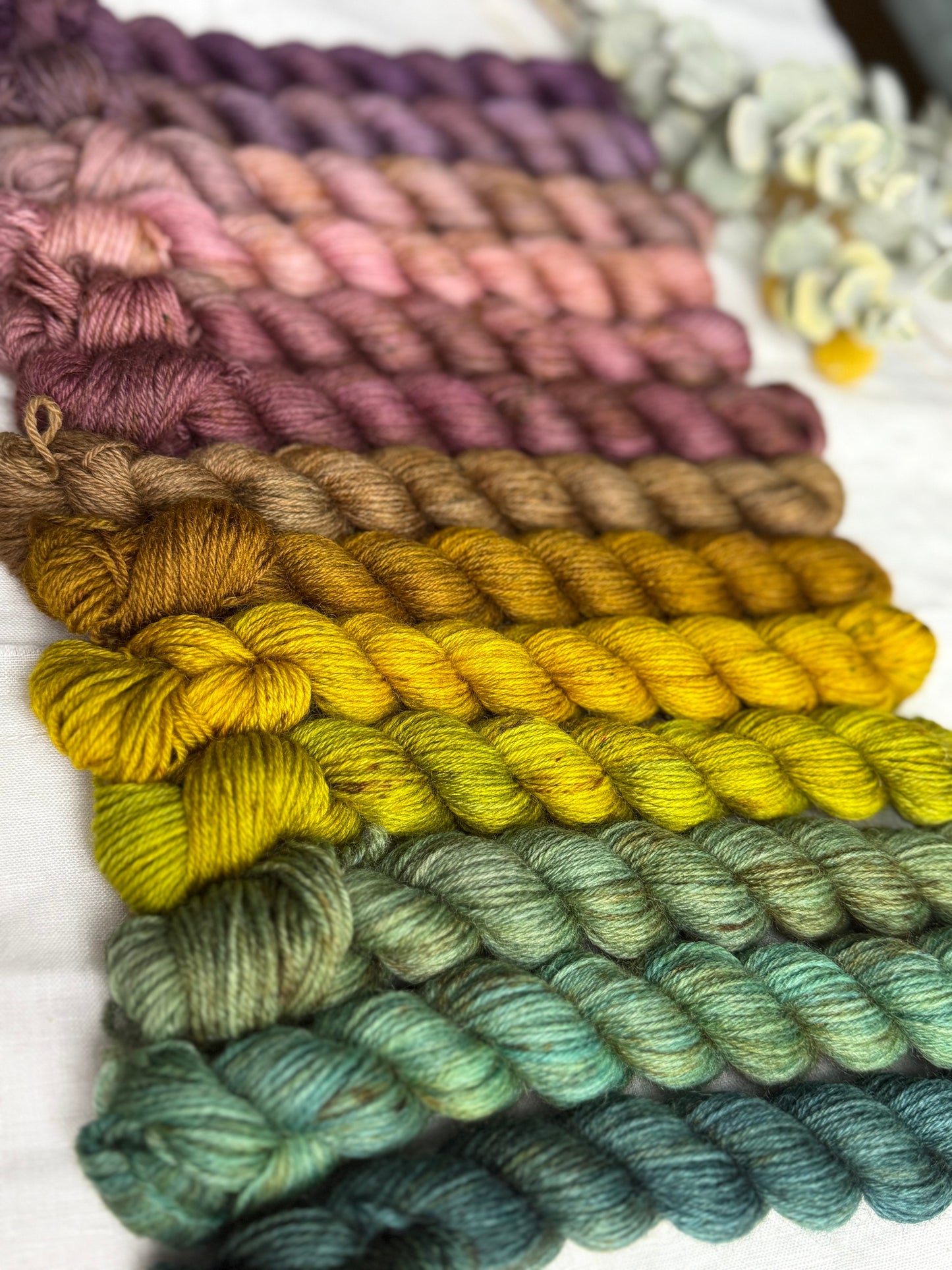 THE WITCH'S GARDEN MINI SET 260G - HIGHLAND 4PLY