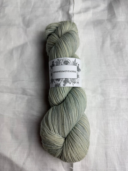 HERBARIUM DYEWORKS - MERINO TWIST 4PLY/FINGERING 100G