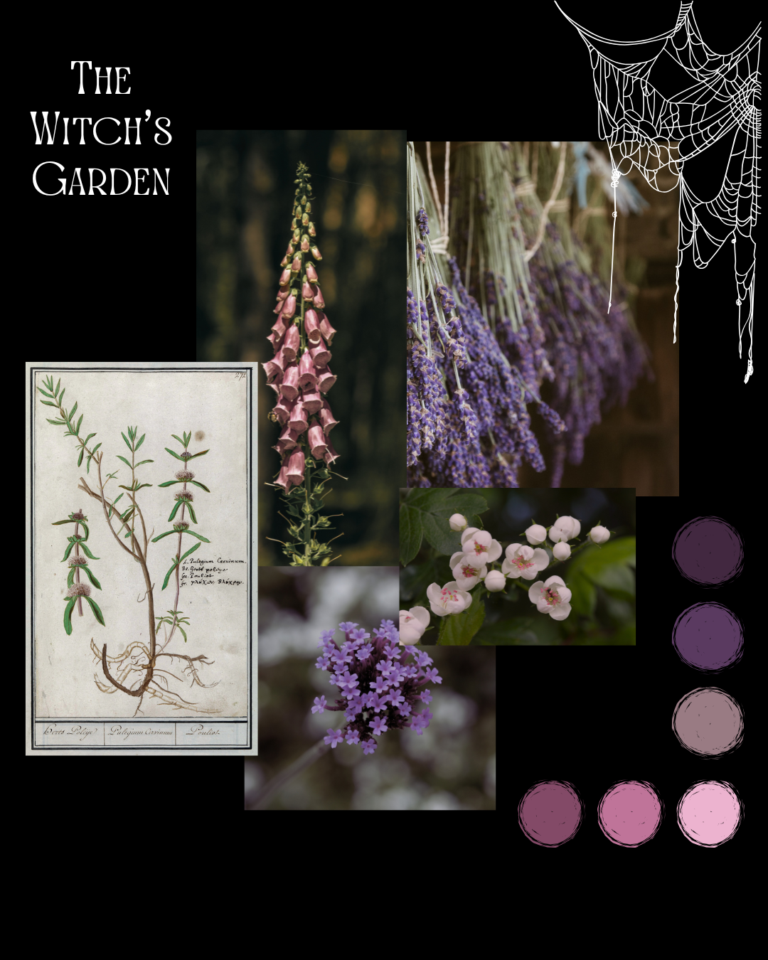 THE WITCH’S GARDEN MINI SET 260G - HIGHLAND DK