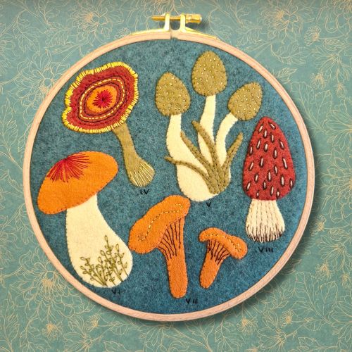 Embroidery hoop with colourful fungi design on a felt background