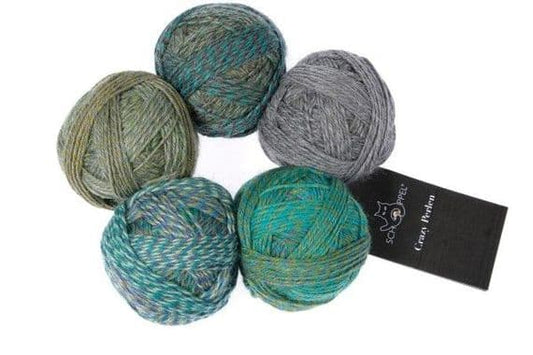 SCHOPPEL CRAZY PERLEN 4PLY/SOCK